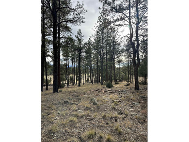 Discover the perfect blend of beauty and value in Divide Ranch on The Divide Ranch and Club in Colorado - for sale on GolfHomes.com, golf home, golf lot