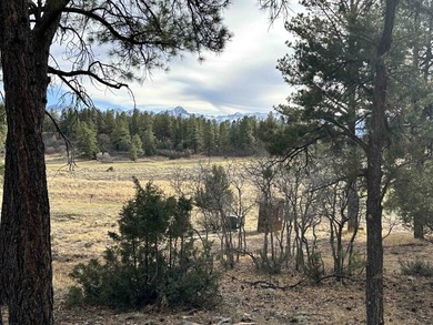 Discover the perfect blend of beauty and value in Divide Ranch on The Divide Ranch and Club in Colorado - for sale on GolfHomes.com, golf home, golf lot