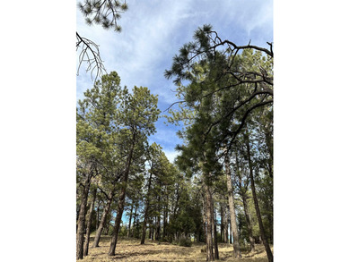 Discover the perfect blend of beauty and value in Divide Ranch on The Divide Ranch and Club in Colorado - for sale on GolfHomes.com, golf home, golf lot