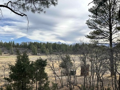 Discover the perfect blend of beauty and value in Divide Ranch on The Divide Ranch and Club in Colorado - for sale on GolfHomes.com, golf home, golf lot