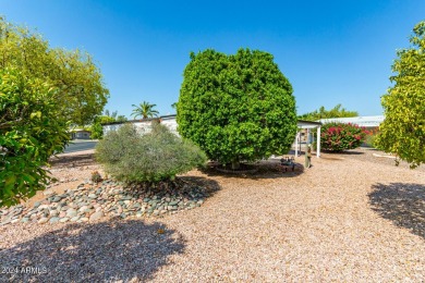 Reduced! 11/22* Motivated Seller!  Over80K in New Modular on Fountain of the Sun Country Club in Arizona - for sale on GolfHomes.com, golf home, golf lot