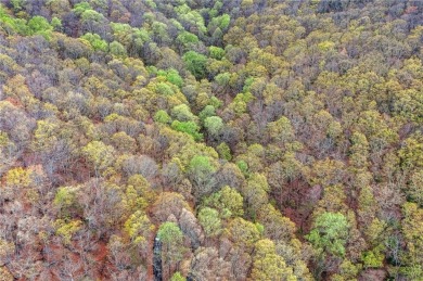 This beautiful vacant lot is more than just land - it's a rare on Bent Tree Golf Course in Georgia - for sale on GolfHomes.com, golf home, golf lot