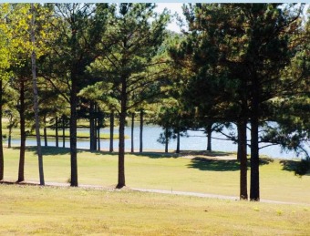 Beautiful lot with a magnificent view of the lake and Golf on Twin Pines Golf Course in Alabama - for sale on GolfHomes.com, golf home, golf lot