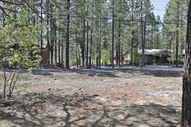 Large, flat .45 acre lot with an abundance of tall ponderosa on Pinetop Lakes Country Club in Arizona - for sale on GolfHomes.com, golf home, golf lot