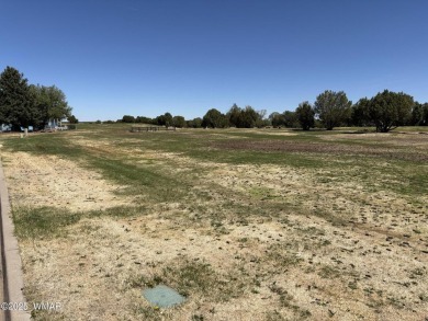 Welcome to desirable Juniper Ridge Resort!! OWN YOUR OWN LOT! on Juniper Ridge R.V. Golf Resort in Arizona - for sale on GolfHomes.com, golf home, golf lot