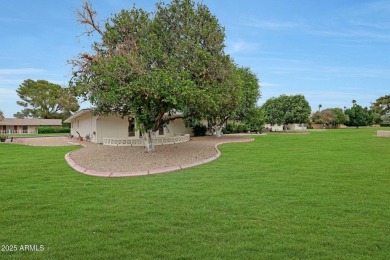 Welcome to Del Webb's Original Sun City, where you can enjoy 8 on Sun City Lakes West and East in Arizona - for sale on GolfHomes.com, golf home, golf lot