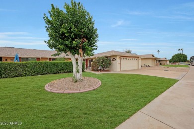 Welcome to Del Webb's Original Sun City, where you can enjoy 8 on Sun City Lakes West and East in Arizona - for sale on GolfHomes.com, golf home, golf lot