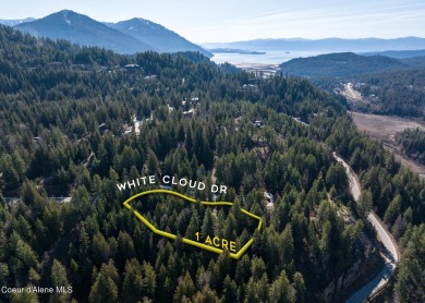 Beautiful 1 Acre Building Site , Located on The Moose Mountain on The Idaho Club in Idaho - for sale on GolfHomes.com, golf home, golf lot