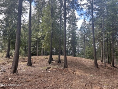 Beautiful 1 Acre Building Site , Located on The Moose Mountain on The Idaho Club in Idaho - for sale on GolfHomes.com, golf home, golf lot