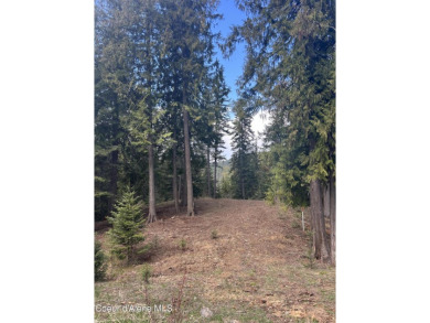 Beautiful 1 Acre Building Site , Located on The Moose Mountain on The Idaho Club in Idaho - for sale on GolfHomes.com, golf home, golf lot
