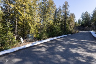Beautiful 1 Acre Building Site , Located on The Moose Mountain on The Idaho Club in Idaho - for sale on GolfHomes.com, golf home, golf lot