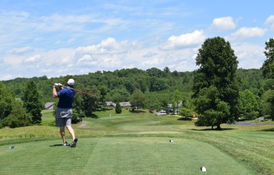 Stunning 4BR, 3.5BA home in Mariners Landing, Smith Mountain on Mariners Landing Golf and Country Club in Virginia - for sale on GolfHomes.com, golf home, golf lot