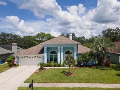 NOT IN A FLOD/EVACUATION ZONE, NO DAMAGE DURING RECENT on East Lake Woodlands Country Club in Florida - for sale on GolfHomes.com, golf home, golf lot