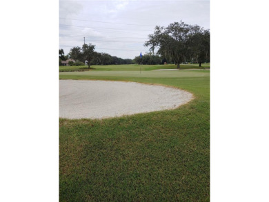 NOT IN A FLOD/EVACUATION ZONE, NO DAMAGE DURING RECENT on East Lake Woodlands Country Club in Florida - for sale on GolfHomes.com, golf home, golf lot