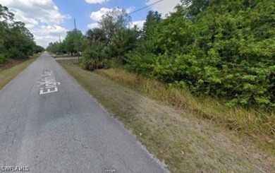 Build your dream home on this spacious 1/2-acre lot in the on Lehigh Resort Club in Florida - for sale on GolfHomes.com, golf home, golf lot