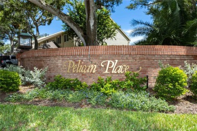 HIGH AND DRY NOT IN A FLOOD ZONE

Pelican Place NORTH - luxury on Belleview Biltmore Golf Club in Florida - for sale on GolfHomes.com, golf home, golf lot