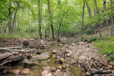 Owner Financing possible for this beautiful lot located in *The on Mountain Greens Golf Course in Virginia - for sale on GolfHomes.com, golf home, golf lot