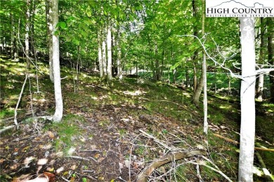 Road is now paved to these 2 lots and next year the road paving on Beech Mountain Club in North Carolina - for sale on GolfHomes.com, golf home, golf lot