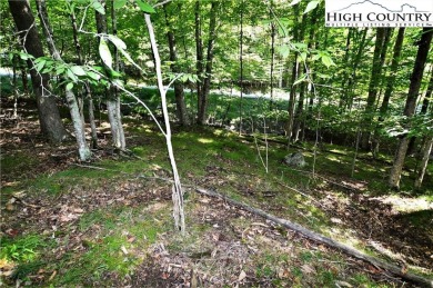 Road is now paved to these 2 lots and next year the road paving on Beech Mountain Club in North Carolina - for sale on GolfHomes.com, golf home, golf lot