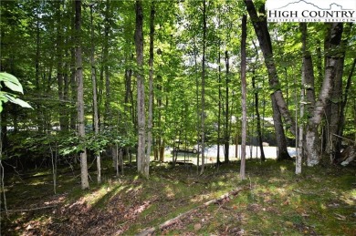 Road is now paved to these 2 lots and next year the road paving on Beech Mountain Club in North Carolina - for sale on GolfHomes.com, golf home, golf lot