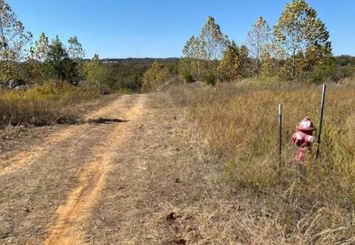 Excellent commercial land originally designed for a winery but on Payne Stewart Golf Club of Branson Hills - Front in Missouri - for sale on GolfHomes.com, golf home, golf lot