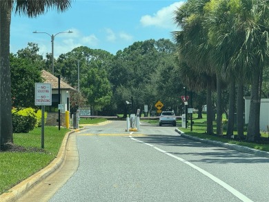 LOCATION, LOCATION, LOCATION!  Close to entertainment, shopping on East Lake Woodlands Country Club in Florida - for sale on GolfHomes.com, golf home, golf lot