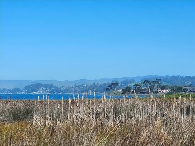 Enjoy Unobstructed views of the Back Bay, Morro Rock, Golf on Sea Pines Golf Resort in California - for sale on GolfHomes.com, golf home, golf lot