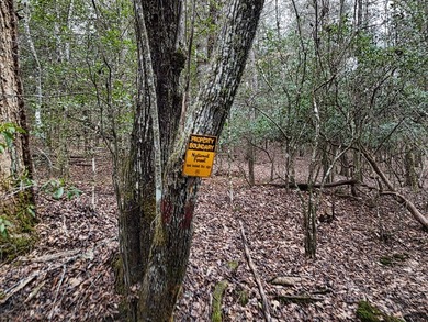 A TRULY SPECIAL LAKEFRONT PROPERTY! Build your dream LAKEFRONT on Old Union Golf Course in Georgia - for sale on GolfHomes.com, golf home, golf lot