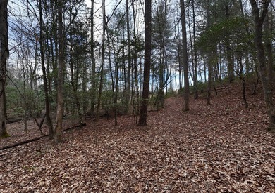 A TRULY SPECIAL LAKEFRONT PROPERTY! Build your dream LAKEFRONT on Old Union Golf Course in Georgia - for sale on GolfHomes.com, golf home, golf lot