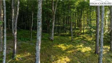 Gorgeous 1.47 acre homesite located in the incredible community on Elk River Club in North Carolina - for sale on GolfHomes.com, golf home, golf lot