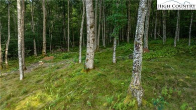 Gorgeous 1.47 acre homesite located in the incredible community on Elk River Club in North Carolina - for sale on GolfHomes.com, golf home, golf lot