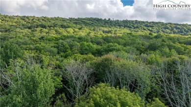 Gorgeous 1.47 acre homesite located in the incredible community on Elk River Club in North Carolina - for sale on GolfHomes.com, golf home, golf lot