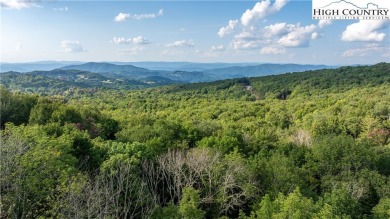Gorgeous 1.47 acre homesite located in the incredible community on Elk River Club in North Carolina - for sale on GolfHomes.com, golf home, golf lot