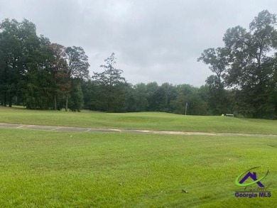 Beautiful home on the Gold Course in a 55+ community in Perry Ga on Houston Springs Resort and Golf Course in Georgia - for sale on GolfHomes.com, golf home, golf lot