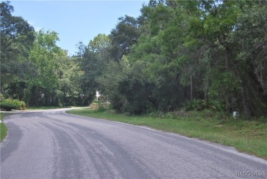 Build Your Dream Home in Sugarmill Woods! at 7 Sweetgum Court N on Sugarmill Woods Golf and Country Club in Florida - for sale on GolfHomes.com, golf home, golf lot