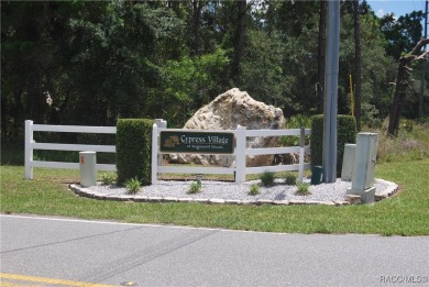 Build Your Dream Home in Sugarmill Woods! at 7 Sweetgum Court N on Sugarmill Woods Golf and Country Club in Florida - for sale on GolfHomes.com, golf home, golf lot