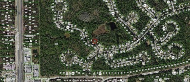 Build Your Dream Home in Sugarmill Woods! at 7 Sweetgum Court N on Sugarmill Woods Golf and Country Club in Florida - for sale on GolfHomes.com, golf home, golf lot