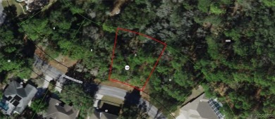 Build Your Dream Home in Sugarmill Woods! at 7 Sweetgum Court N on Sugarmill Woods Golf and Country Club in Florida - for sale on GolfHomes.com, golf home, golf lot