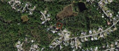 Build Your Dream Home in Sugarmill Woods! at 7 Sweetgum Court N on Sugarmill Woods Golf and Country Club in Florida - for sale on GolfHomes.com, golf home, golf lot
