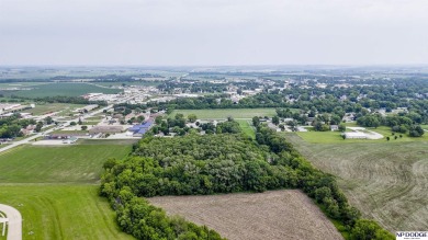 Duane Safarik, M: , DSafarik,   - Wow!! Over 1/2 acre lot in on Shenandoah Golf Course in Iowa - for sale on GolfHomes.com, golf home, golf lot