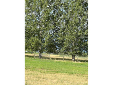 Excellent and rare Arrow Hill building lot that borders the golf on Hamilton Golf Club in Montana - for sale on GolfHomes.com, golf home, golf lot