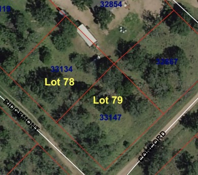 Great opportunity for building your home in Kingsland, Texas! on Packsaddle Country Club in Texas - for sale on GolfHomes.com, golf home, golf lot