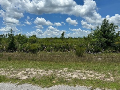 Here's your change to own a spacious lot at a great price!  This on Indian Lake Estates Golf and Country Club in Florida - for sale on GolfHomes.com, golf home, golf lot