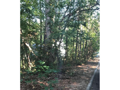 Rare find - 1.3 acre, oversized, rectangular buildable lot with on Collins Hill Golf Club in Georgia - for sale on GolfHomes.com, golf home, golf lot