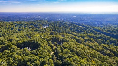 Welcome to 81502 Alexander, a beautifully located home in the on Governors Club in North Carolina - for sale on GolfHomes.com, golf home, golf lot