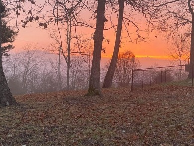 Stunning Lot with Panoramic Views!
Perched atop Holiday Island on Holiday Island Executive Golf Course in Arkansas - for sale on GolfHomes.com, golf home, golf lot