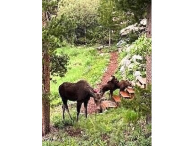 Amazing lot backing to HOA property in a quiet glen.  Treed and on Grand Lake Golf Course in Colorado - for sale on GolfHomes.com, golf home, golf lot