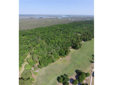 The only golf course lot on the market and one of the largest on Frederica Golf Club in Georgia - for sale on GolfHomes.com, golf home, golf lot
