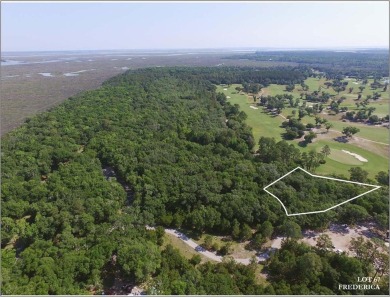 The only golf course lot on the market and one of the largest on Frederica Golf Club in Georgia - for sale on GolfHomes.com, golf home, golf lot