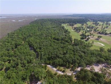The only golf course lot on the market and one of the largest on Frederica Golf Club in Georgia - for sale on GolfHomes.com, golf home, golf lot